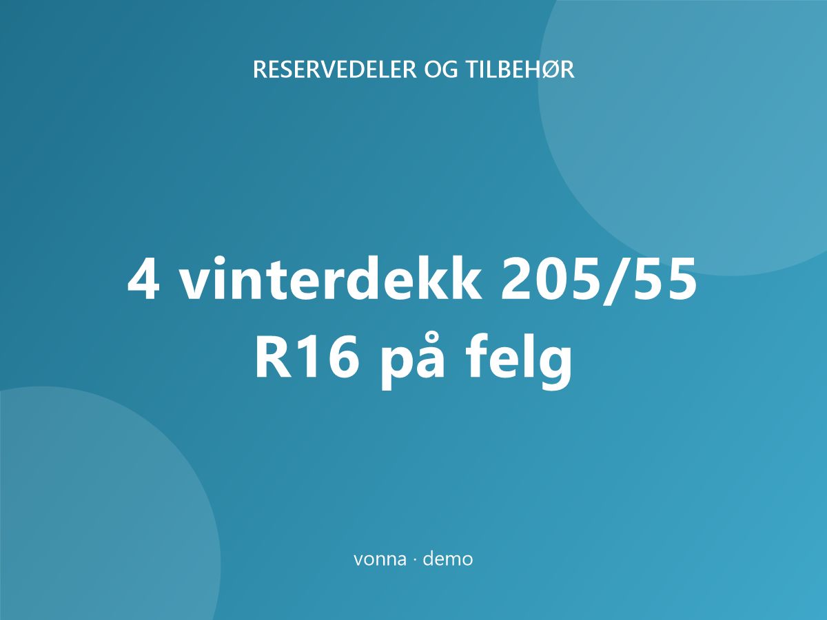 4 vinterdekk 205/55 R16 på felg