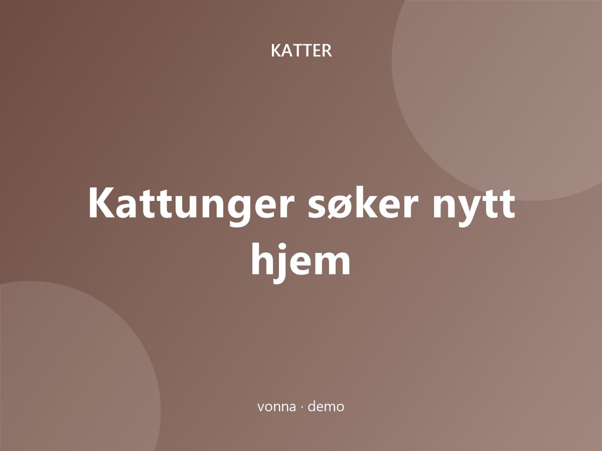 Kattunger søker nytt hjem